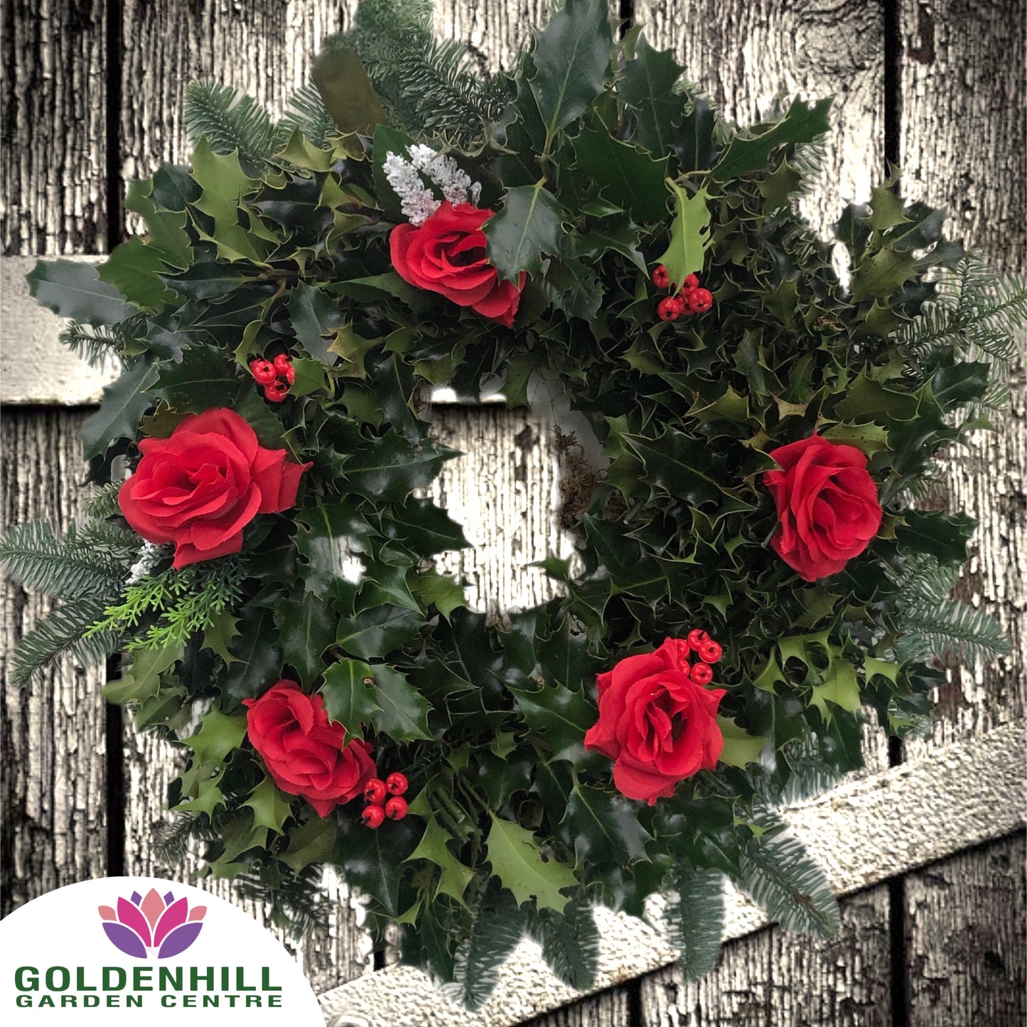 Traditional Holly Wreath with Just Flowers