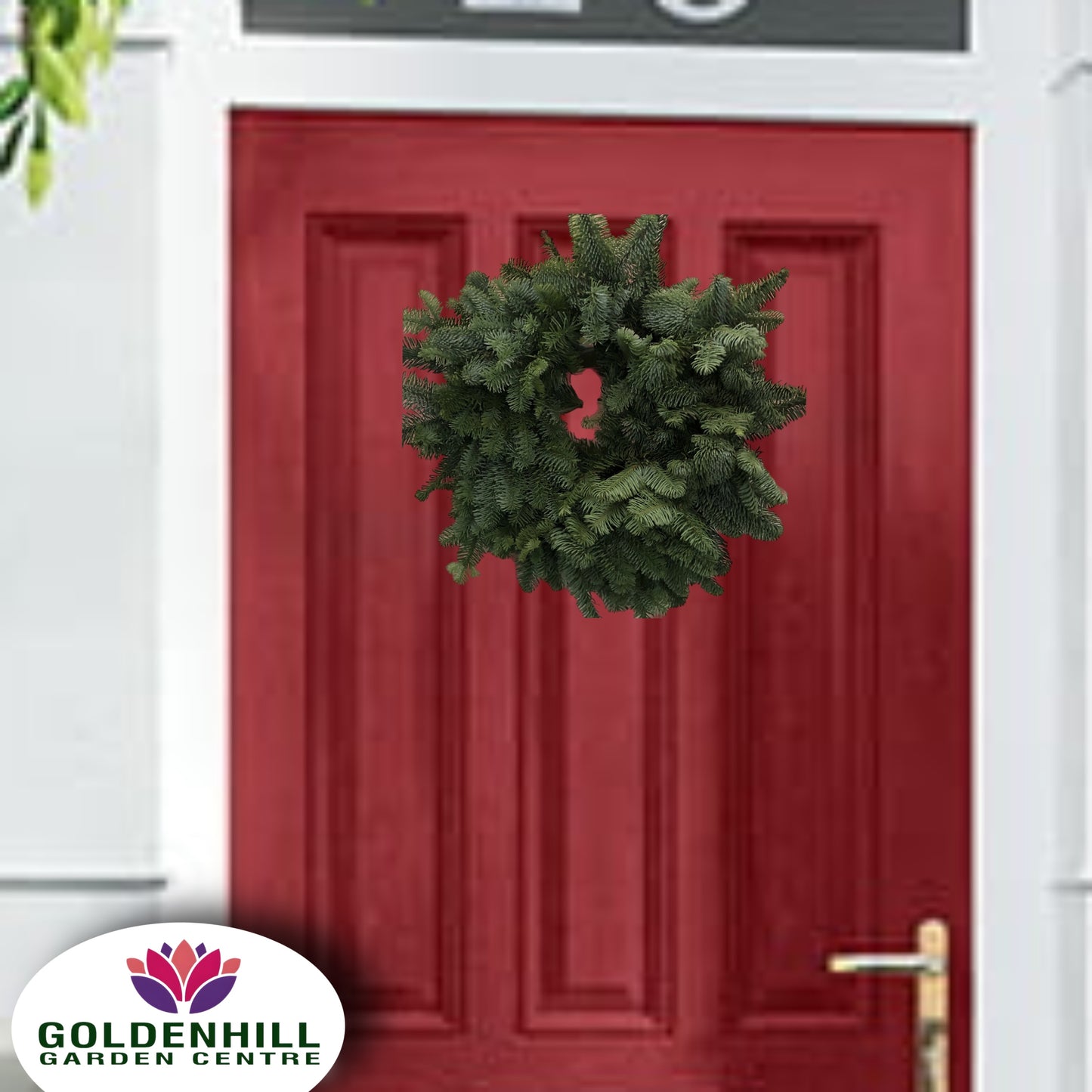 Traditional Door Wreath Plain