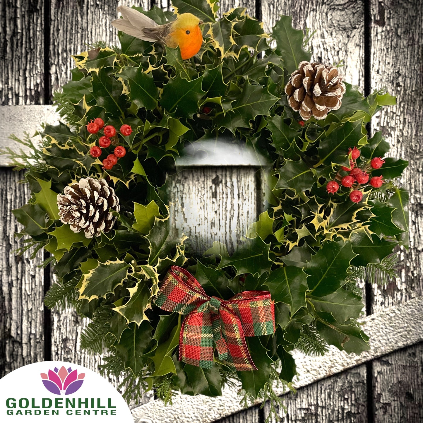 Traditional Holly Wreath on Oasis Posy Ring